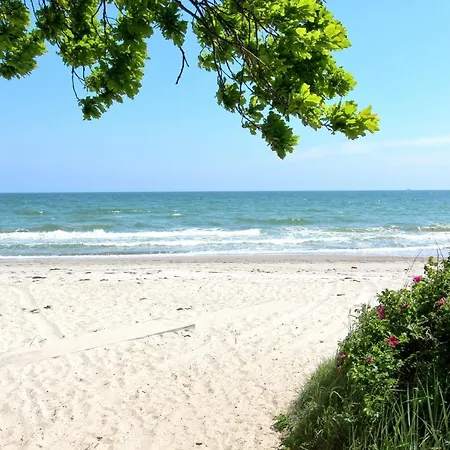 Strandnahe Mit Terrasse, Gratis Nutzung Vom Ahoi Erlebnisbad Und Sauna In Sellin - Rex Rugia 29-4 Appartement *