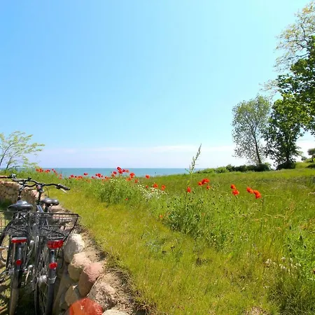 Appartement Strandnahe Mit Terrasse, Gratis Nutzung Vom Ahoi Erlebnisbad Und Sauna In Sellin - Rex Rugia 29-4 *