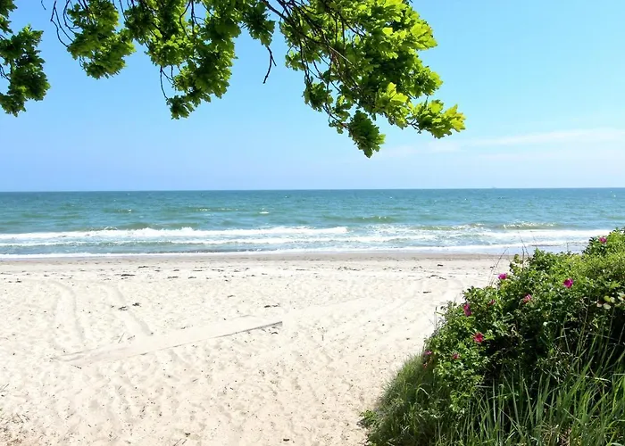 Strandnahe Mit Terrasse, Gratis Nutzung Vom Ahoi Erlebnisbad Und Sauna In Sellin - Rex Rugia 29-4 Apartamento *