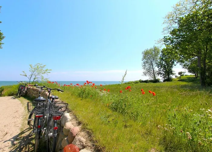 Apartamento Strandnahe Mit Terrasse, Gratis Nutzung Vom Ahoi Erlebnisbad Und Sauna In Sellin - Rex Rugia 29-4 *